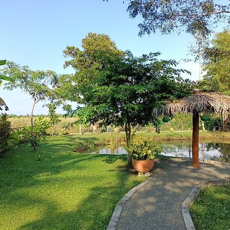 Avalon Village Resort Induruwa Esterno foto