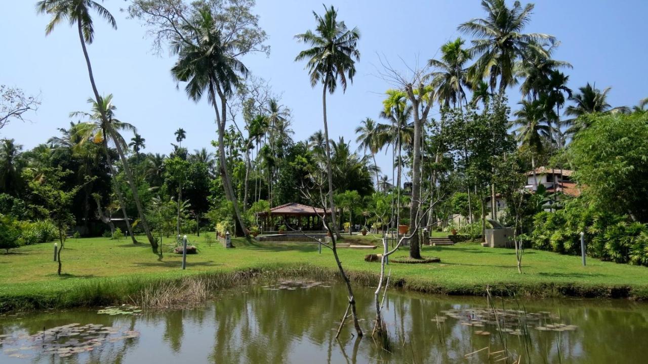 Avalon Village Resort Induruwa Esterno foto