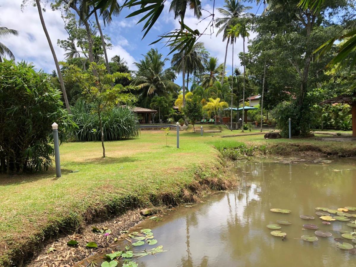 Avalon Village Resort Induruwa Esterno foto