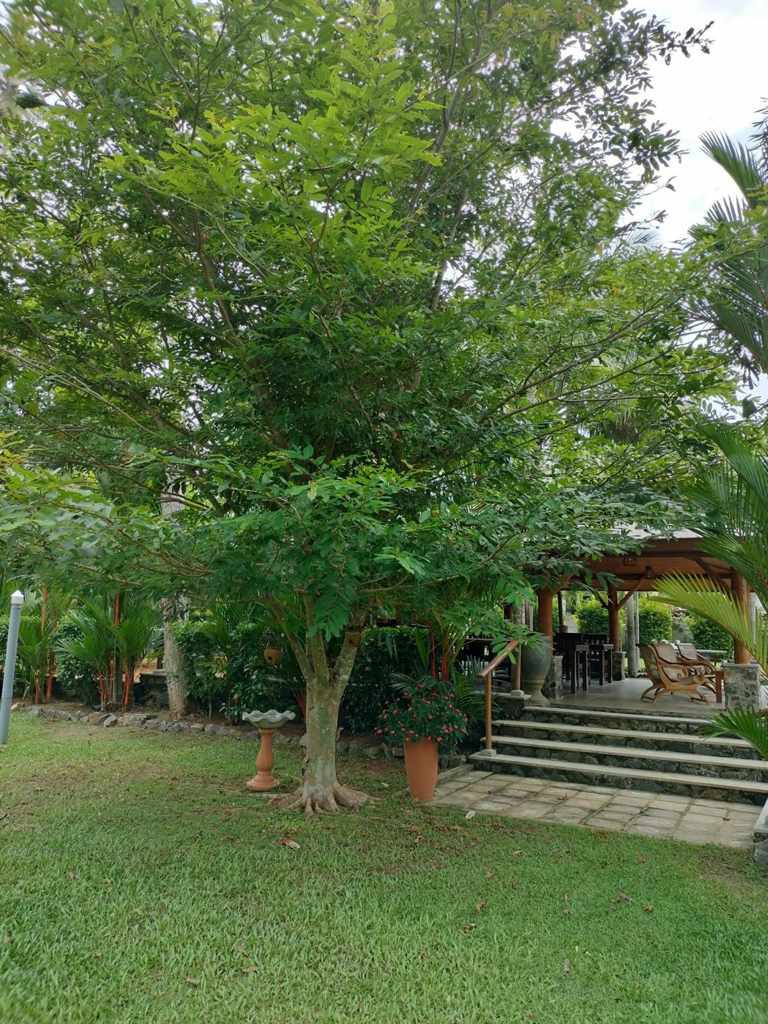 Avalon Village Resort Induruwa Esterno foto