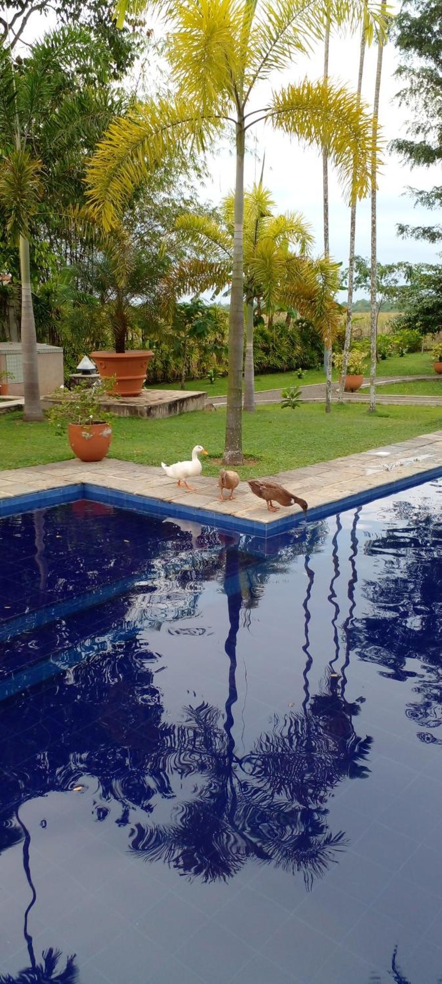 Avalon Village Resort Induruwa Esterno foto