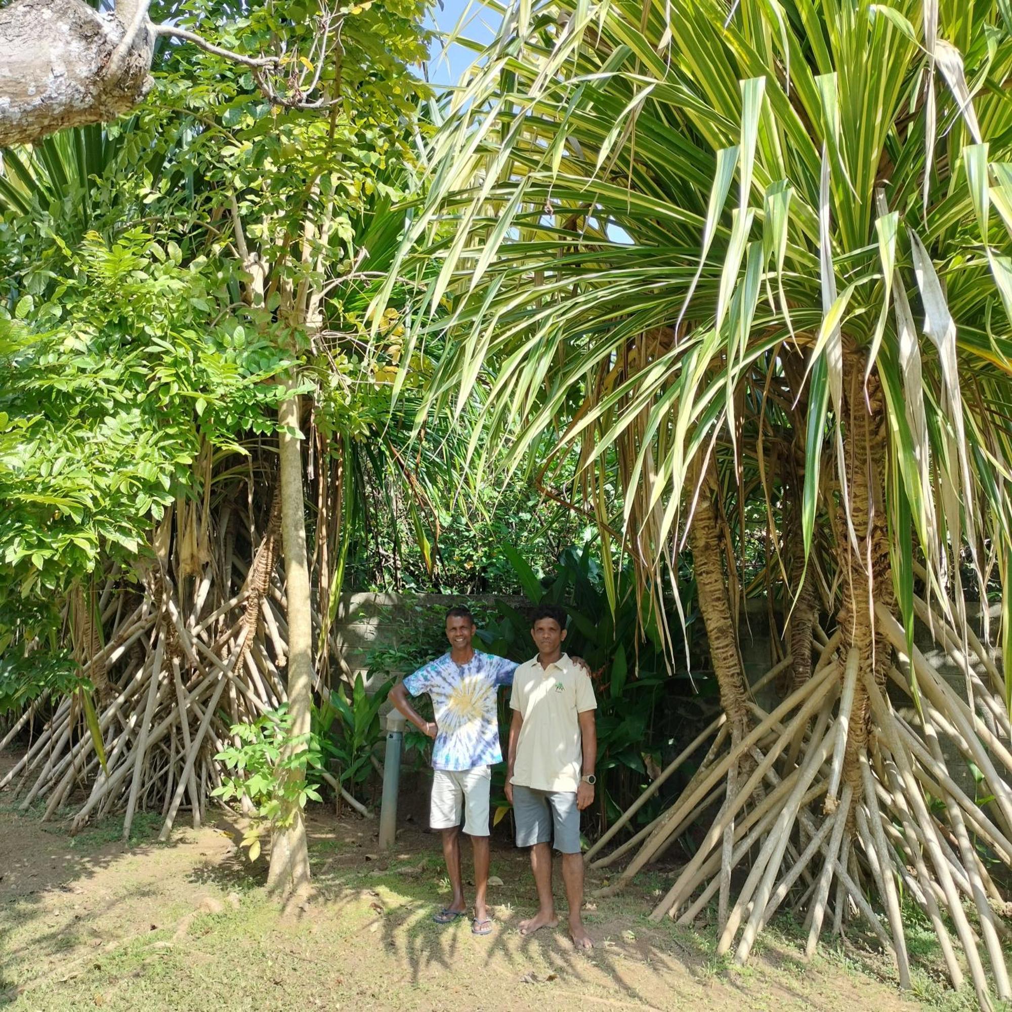 Avalon Village Resort Induruwa Esterno foto