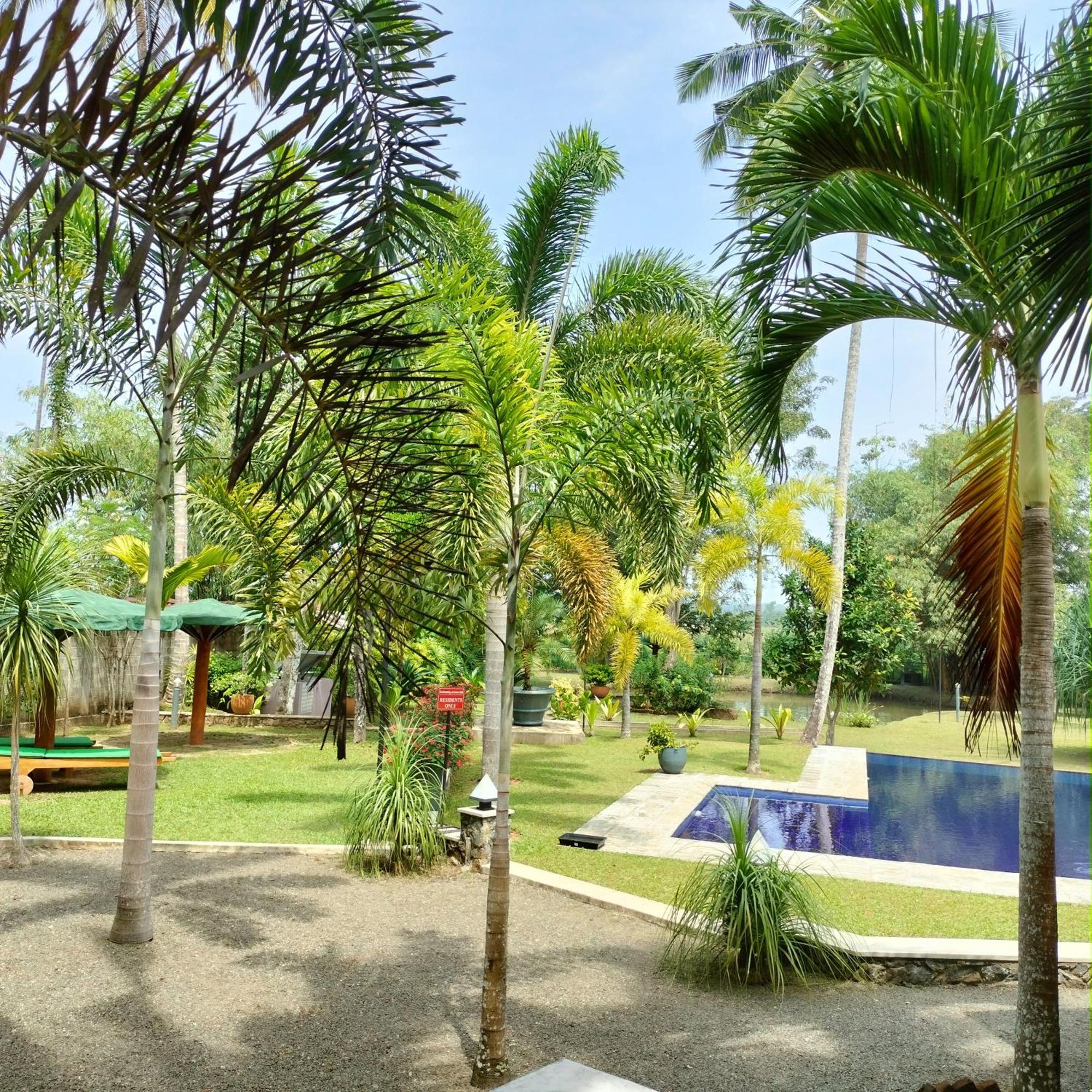Avalon Village Resort Induruwa Esterno foto