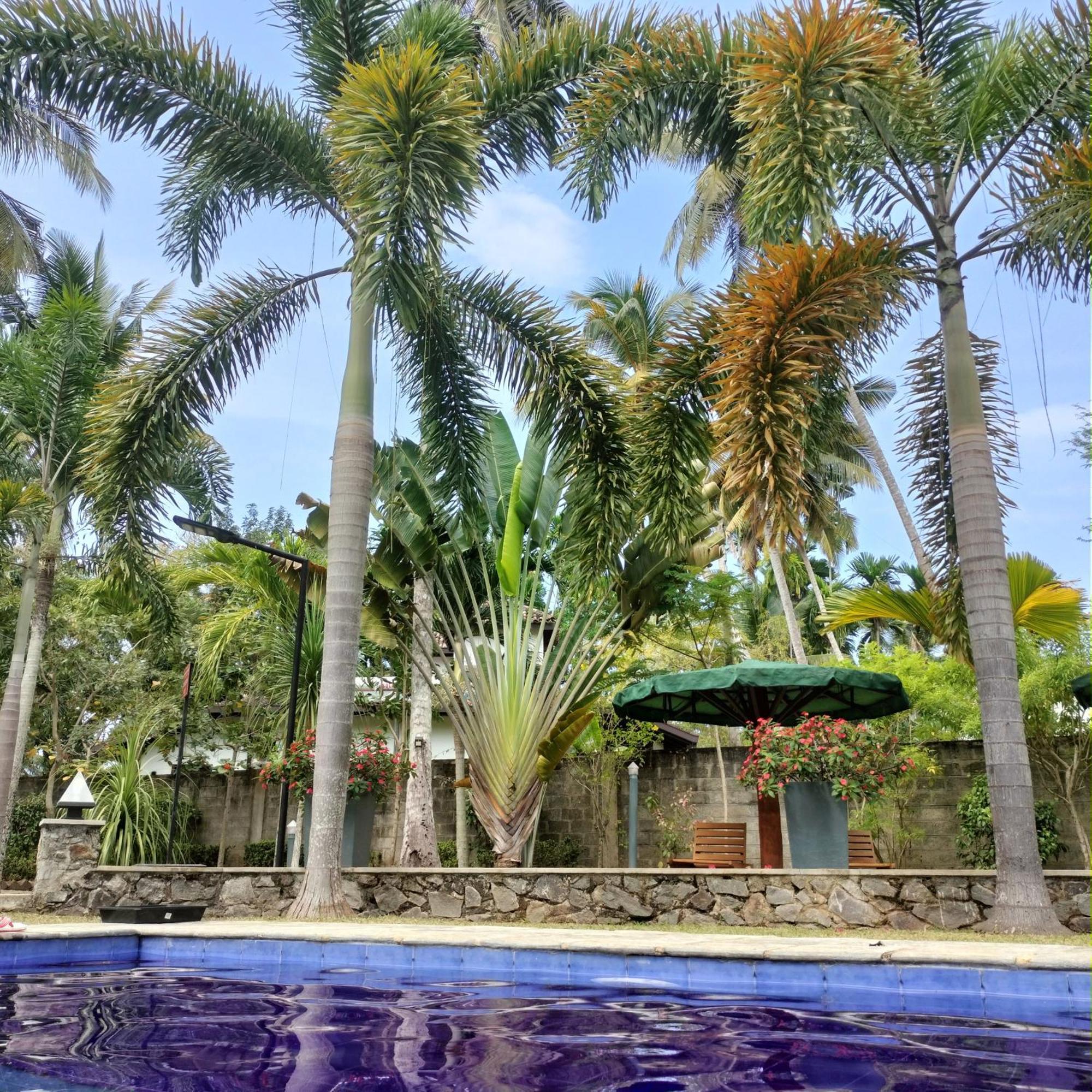 Avalon Village Resort Induruwa Esterno foto