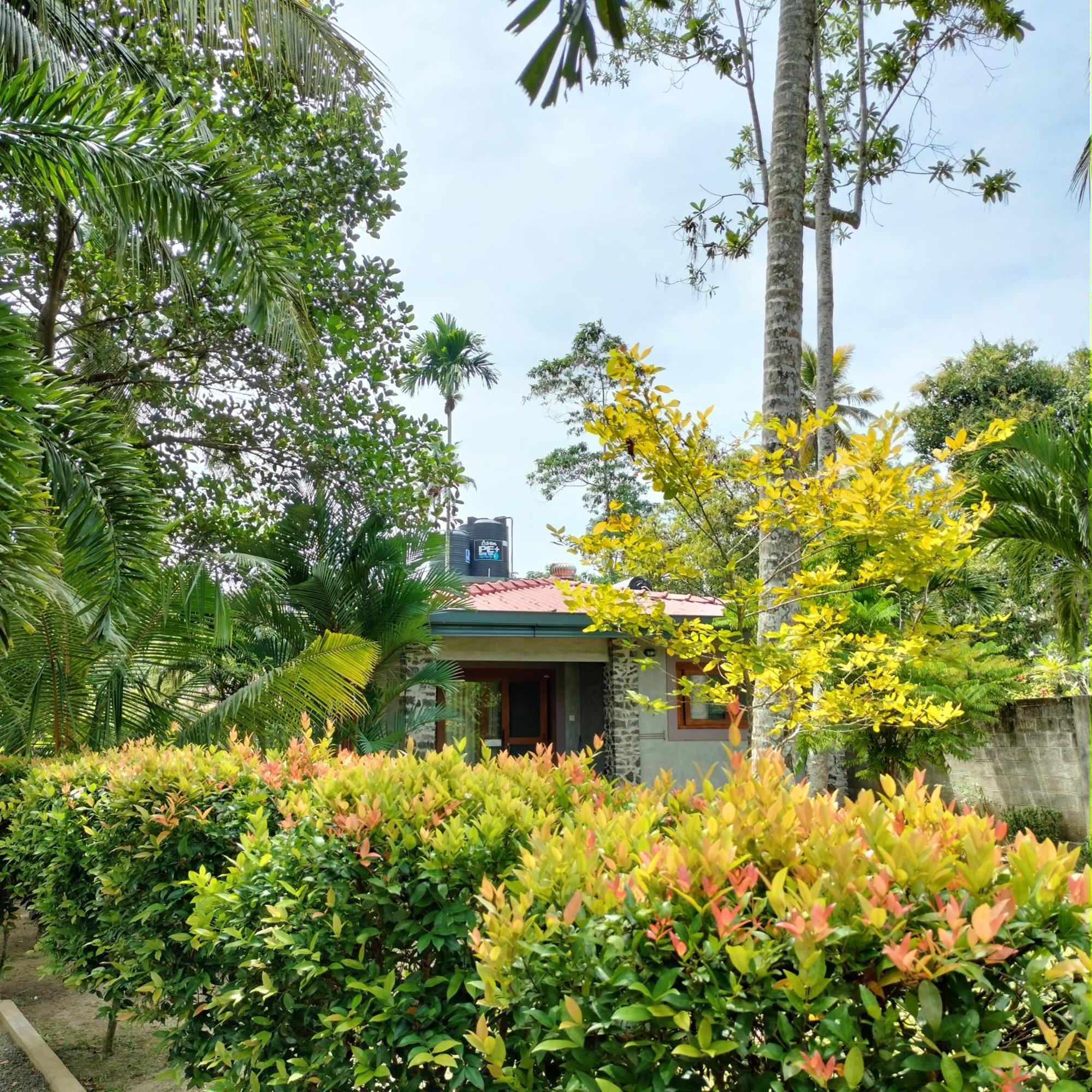 Avalon Village Resort Induruwa Esterno foto