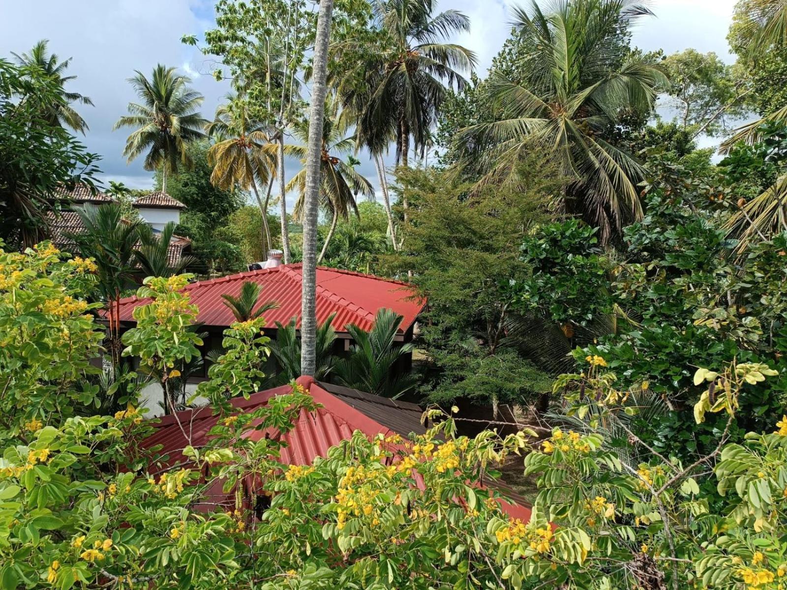 Avalon Village Resort Induruwa Esterno foto